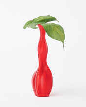 Carica l&#39;immagine nel visualizzatore di Gallery, NIKO JUNE Las Projects Vase Red