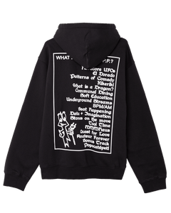 Public Possession What Happens? Hoodie