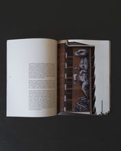 Carica l'immagine nel visualizzatore di Gallery, Fanzinne Torino Off The Wall
