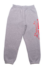 Carica l'immagine nel visualizzatore di Gallery, Rebel Noise Infamous Pants Grey