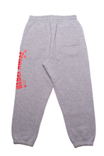 Carica l'immagine nel visualizzatore di Gallery, Rebel Noise Infamous Pants Grey