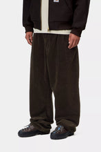 Carica l'immagine nel visualizzatore di Gallery, Carhartt WIP Evan Pant