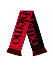 Carica l'immagine nel visualizzatore di Gallery, NP No Problemo Scarf