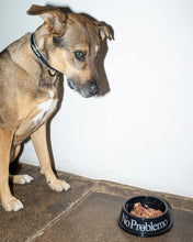 Carica l'immagine nel visualizzatore di Gallery, NP No Problemo Pet Bowl
