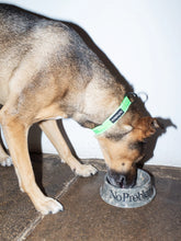Carica l'immagine nel visualizzatore di Gallery, NP No Problemo Pet Bowl