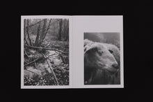 Carica l'immagine nel visualizzatore di Gallery, Sun 16 Zine  Issue 04 - Idola