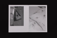 Carica l'immagine nel visualizzatore di Gallery, Sun 16 Zine  Issue 03 - Regina